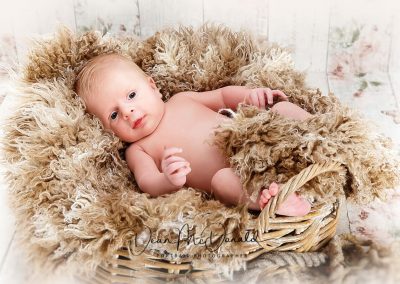 A newborn baby in a round basket covered in fur on a painted floor.