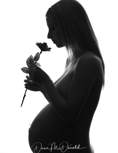 Silhouette of pregnant woman with rose.