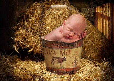 Newborn nestled in vintage milk bucket in a barn.