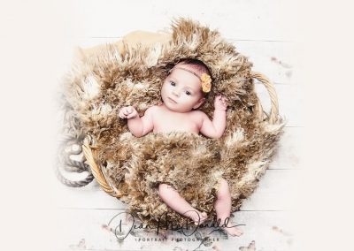 A newborn baby in a round basket covered in fur.